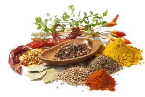 Lokman Hekim - Aktarlar 